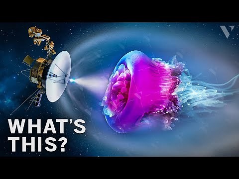 Voyager 2 Sent Back Its Final Images From Space. What Did It Find?