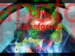 DBZ-Cell Transforms Extended