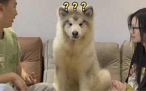 卢比：我要和妈咪离家出走！