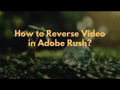 How to Reverse Video in Adobe Rush?