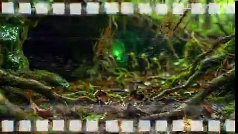 𝐁𝐑𝐄𝐀𝐊𝐈𝐍𝐆: 𝐔𝐍𝐈𝐃𝐄𝐍𝐓𝐈𝐅𝐈𝐄𝐃 𝐅𝐎𝐎𝐓𝐀𝐆𝐄 𝐑𝐄𝐂𝐎𝐕𝐄𝐑𝐄𝐃One of our scouting drones crashed deep in the marshlands, but the black box survived. The images found inside confirm what we’ve feared: The @GoblynzNFT are real.These aren't just myth. They are a crawling, green skinned (mostly) evolution of the B̵a̵s̵e̵ Ethereum meta emerging from the mud.𝐑𝐄𝐂𝐎𝐕𝐄𝐑𝐄𝐃 𝐃𝐀𝐓𝐀:H͟a͟b͟i͟t͟a͟t͟: They have claimed the "Inner Sanctum", a muddy underground bog where they build while t