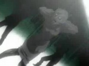 Hellsing - 13(Адское пламя)