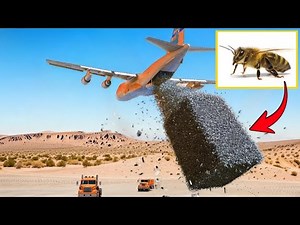 Everybody Mocked Nevada For Dumping Millions of Bees Into Desert. 1 Month Later, They Regretted It