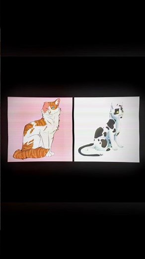 Brightheart x Cloudtail #edit #warriorcats #warriors #warriorsedit #brightheart #swiftpaw #cloudtail