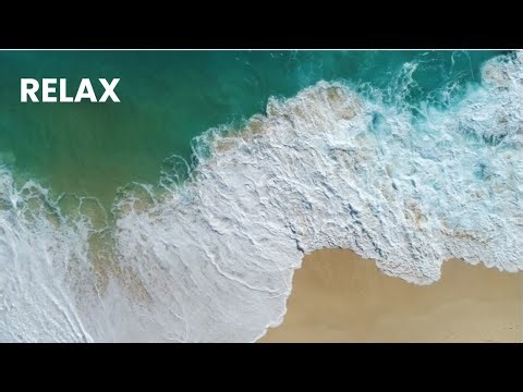Deep Ocean Relaxation 🌊🐠 | 1 Hour Marine Life Video for Sleep, Focus & Calm