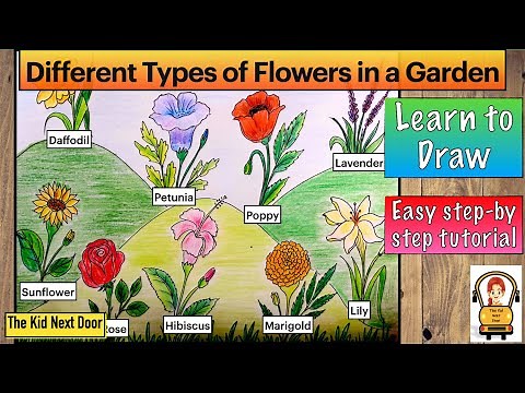 How to Draw Different types of Flowers in a Garden | Easy drawing for Kids | The Kid Next Door