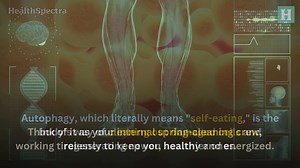 Discover the powerful process of autophagy, a natural mechanism that helps your body recycle and renew itself. In this video, we'll delve into the world of autophagy, exploring what it is, how it works, and its importance for overall health and wellness. Learn about the benefits of autophagy, including improved cellular function, enhanced energy production, and increased longevity. Understand the role of autophagy in maintaining cellular homeostasis and its potential impact on various diseases. 