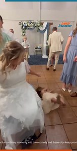 The funniest moments from the big day! | Darcy Donavan