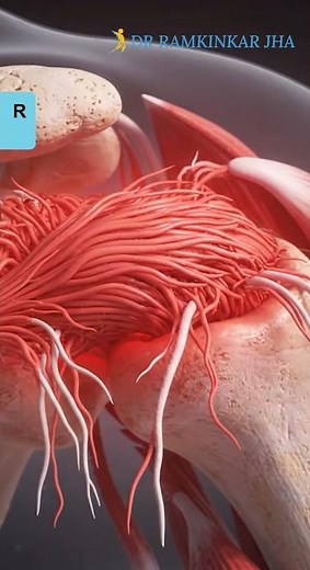 Different Types of Sports Injury | Dr. Ramkinkar Jha