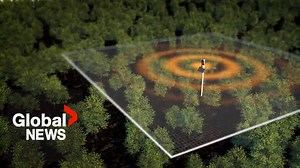 Canada wildfires: How AI-powered sensors are shaping the future of firefighting - The Global Herald