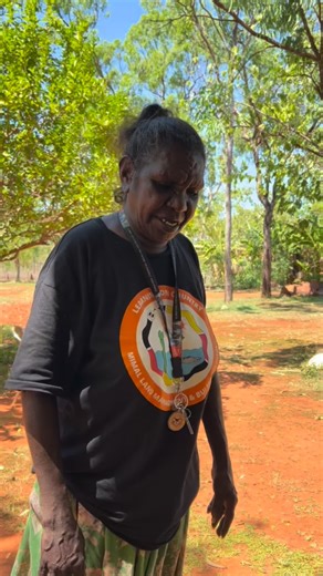 2.2K reactions · 87 shares | Yvonne showing us native honey bees coming for a drink of water in the late dry season  #aboriginalaustralia #indigenous #northernterritory #indigenousknowledge #rangers #northernterritoryaustralia #nativebees #bee #australianbees | Mimal Land Management | Facebook