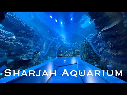 Sharjah Aquarium 2023 | 4K