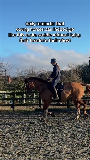 it takes months, bruno wasn’t going like this back in the summer! he’s only recently learning how to use his body properly with less guidance from me because he is stronger #foryou #fyp #foryoupage