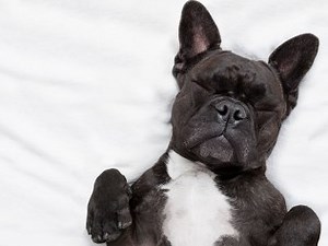 How to reset your sleep cycle overnight