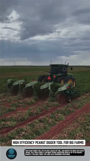 High efficiency peanut digger tool for big farms #tools