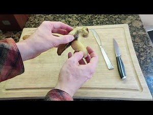 How to Dehusk a Mango Seed - Removing from Pit 🥭