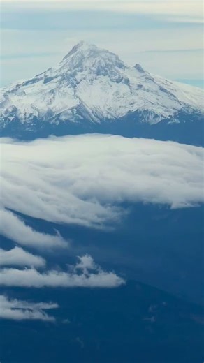 朗朗 | Finding Fina | Facebook