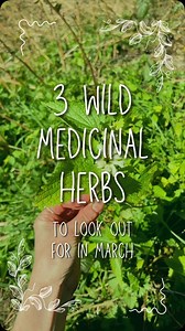 1.8K reactions · 435 shares | Spring is here!! And already the land...