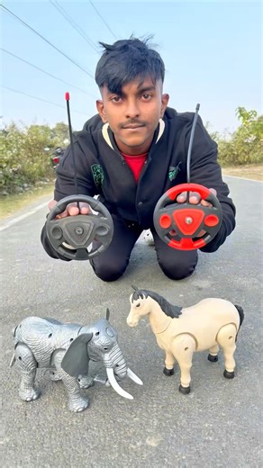 remote control elephant and Hores unboxing and review