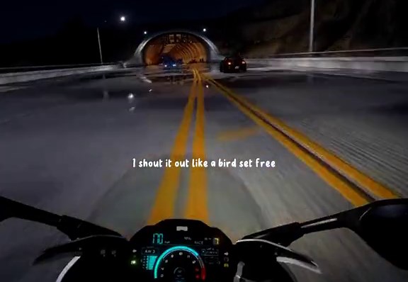 Bird set free #music #lyrics #fyp