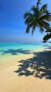 Incredible white sandy beaches in Maldives #beach #beachvibes #tropicalvibes #beachlife | The Traveller