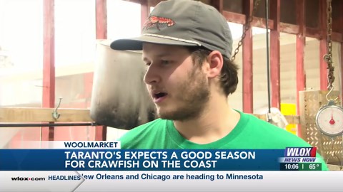 South Mississippi Crawfish Map & Price Check