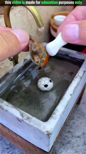 Turtle is bathing.🤯🤯I New Viral Gadgets, Appliances, kitchen utensils/ Home Investions😱. #trending
