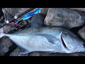 Solo | 47 lbs ULUA/GT Plugging | Lanai, Hawaii Land Based Fishing