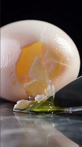 Cutting a Snake Egg in Ultra Macro — Wait for the Ending 👀