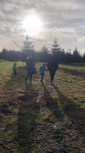 Susan Howard on Reels