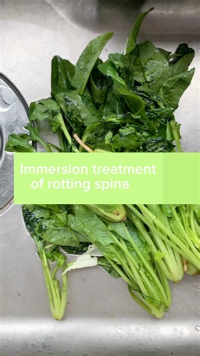 The food waste disposer quickly processes rotten vegetables. #foodwastedisposer #cooking #foodwaste