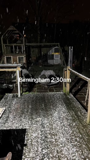 French Bulldog Adventures in Birmingham Snow