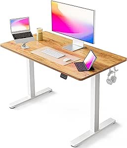 FEZIBO Electric Standing Desk, 40 x 24 Inches Height Adjustable Stand up Desk, Sit Stand Home Office Desk, Computer Desk, Light Rustic