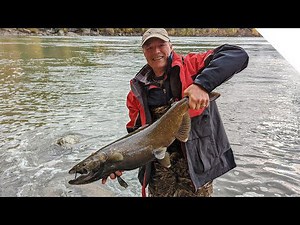 Shore fishing for salmon - Fall fishing with artificial baits