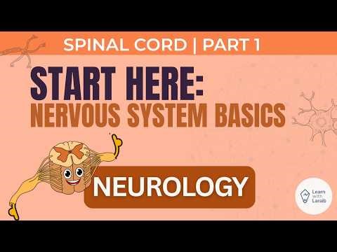 Spinal Cord pt 1: Nervous Systems Basics & Introducion to Tracts| FCPS MBBS JCAT NEET