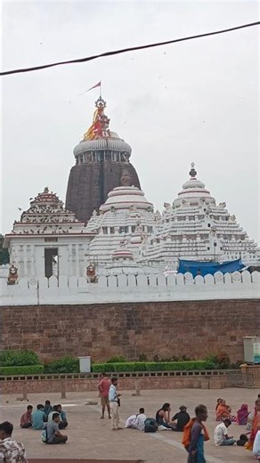 today's patitapabana darshan | Jagannath tv live | Jagannath bhajan | today's darshan | puri
