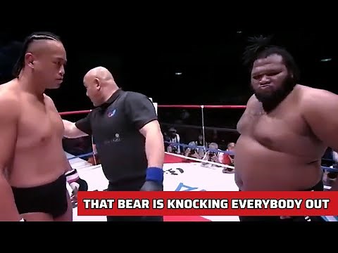 THIS BEAR DANCES AND KNOCKS EVERYONE OUT - CHRIS BARNETT Highlights