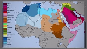 What If Asian Countries Were Divided By Language?