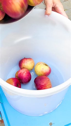 How To Make Juicer At Home | 3-Minute Hacks