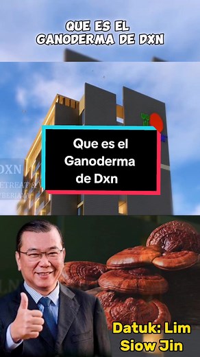 ¿Qué es el Ganoderma de DXN? Beneficios y Propiedades