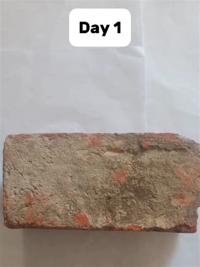 Breaking a Brick with a Spoon: Day 1 Challenge