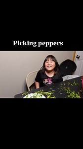 Elle's picking chilli peppers | Kay Xiong | Facebook