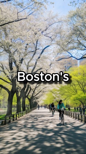 67K views · 615 reactions | History Facts You Missed In Class #history | Blackintimehistory | Facebook