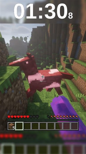 Running in a Straight Line Until I Find a Lilac in Minecraft! 🌸