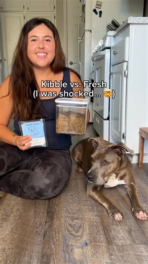 Take 50% OFF your first trial! ✅ Vet-developed recipes ✅ Human-grade ingredients ✅ Gently cooked to preserve nutrients ✅ Picky eater approved ✅ Results you can see | Spot and Tango