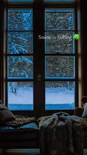 Snowfall Serenity: Embrace Beautiful Nature