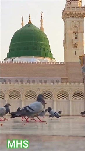 new naat #love #hijabehaya #islamicmusic #beautiful