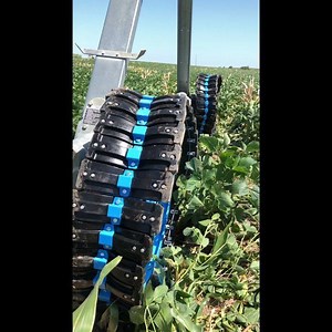 Sneak peek at our 350lbs farming wheel going through soybean fields. Not digging a trench is the name of the game here and our SWIFT (Sine Wave Innovative Flotation and Traction wheel) is performing better than we anticipated. The flexing 'lugs' of the design were modeled after a seagull's wings. Shark Wheel won a government grant through the National Science Foundation (NSF) and they have funded our Phase I project. We hope to bring this wheel to farmers next year to improve their ROI, downtime