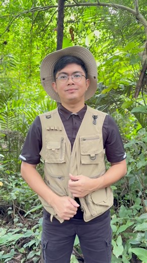 Pruning a tree behind the scenes | Ethan Hernandez