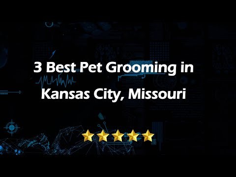 3 Best Pet Grooming in Kansas City, Missouri | Pet Salons